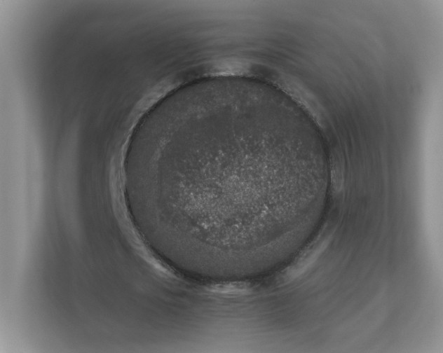 X0000111530721200907211244