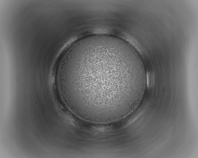 X0000111530723200907211244