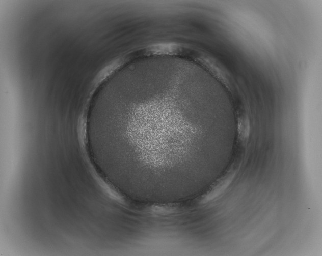 X0000111530725200907211244