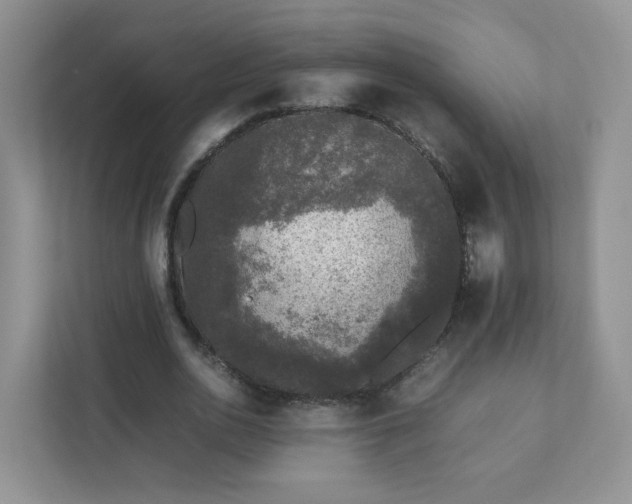 X0000111530726200907211244