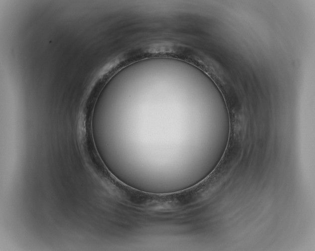 X0000111530727200907211244