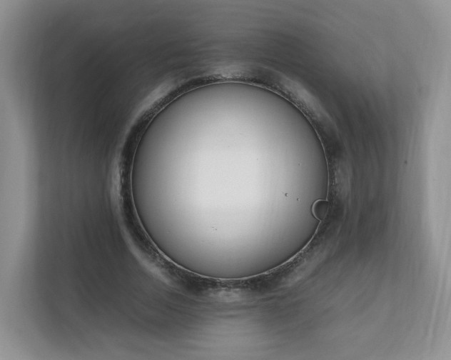 X0000111530730200907211244