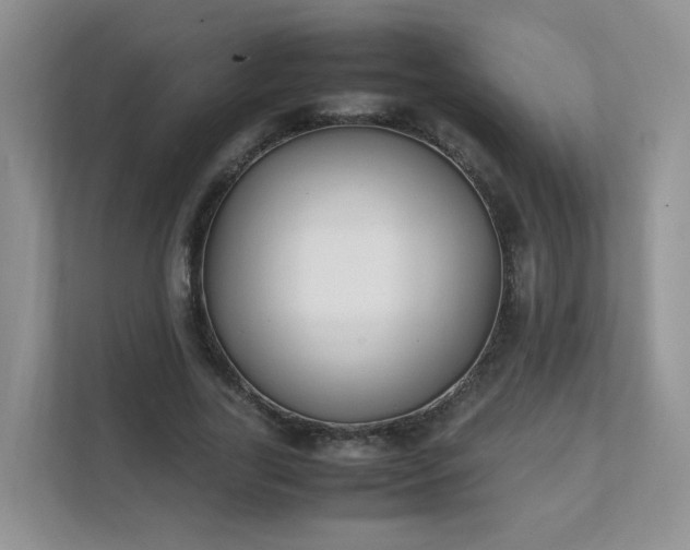 X0000111530731200907211244