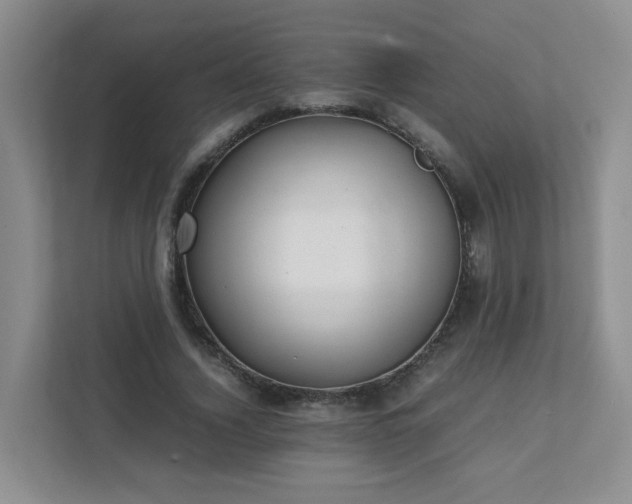 X0000111530732200907211244