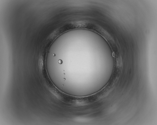 X0000111530733200907211244