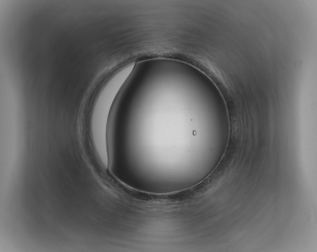 X0000111530736200907211244