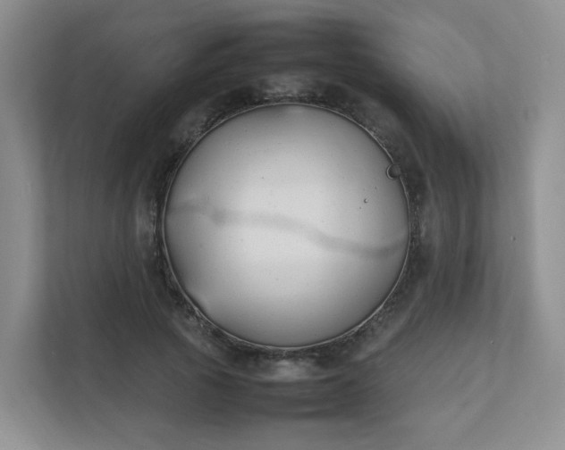 X0000111530737200907211244