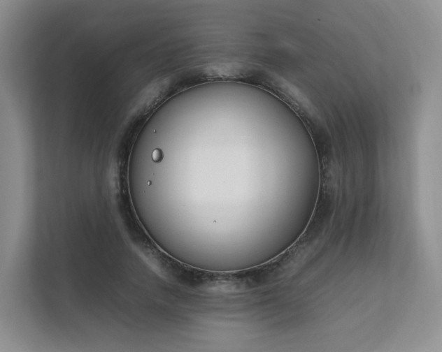 X0000111530738200907211244