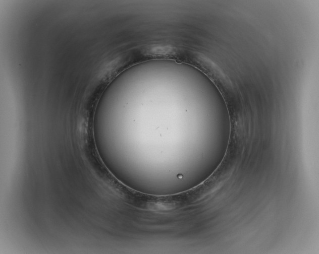 X0000111530739200907211244