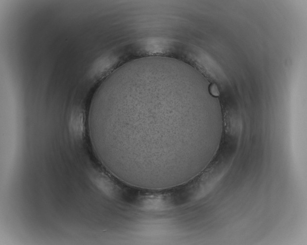 X0000111530740200907211244