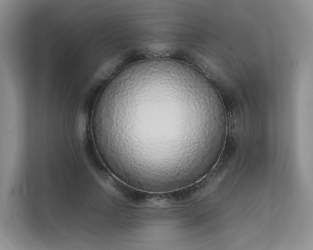 X0000111530742200907211244