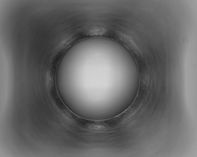 X0000111530743200907211244