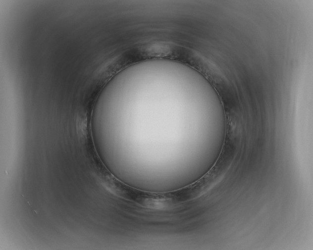 X0000111530745200907211244