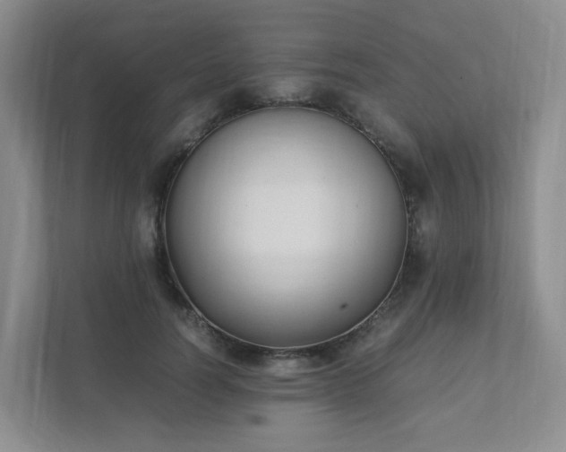 X0000111530746200907211244