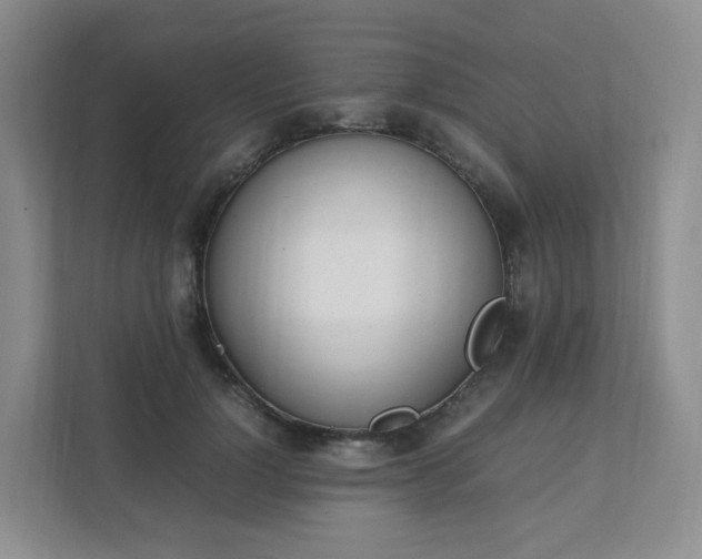 X0000111530748200907211244