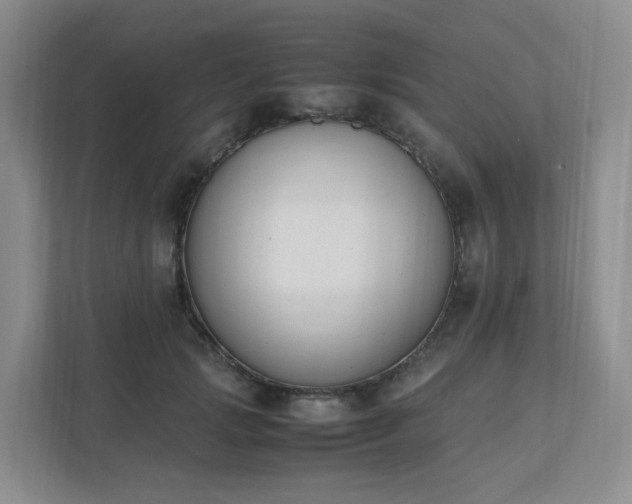 X0000111530749200907211244