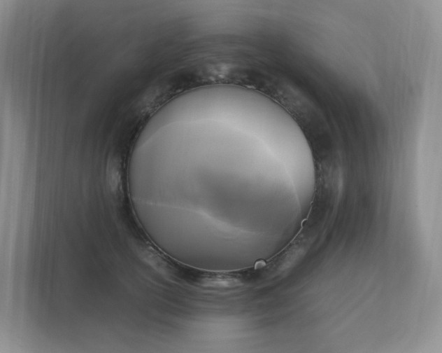 X0000111530754200907211244