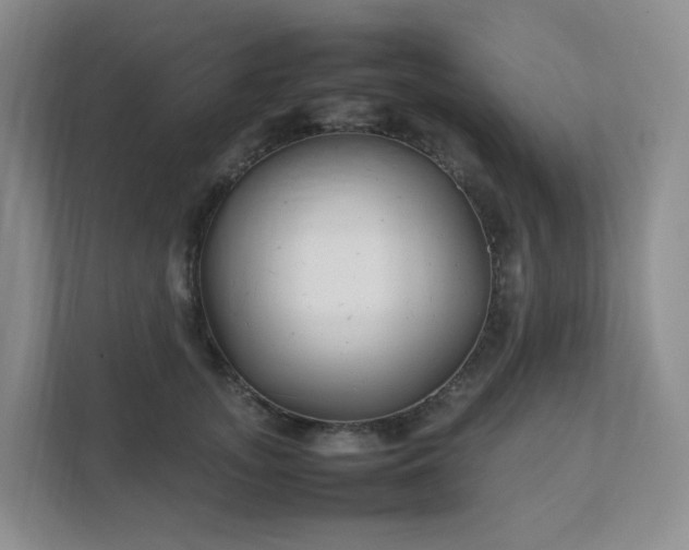 X0000111530755200907211244