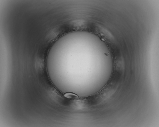 X0000111530756200907211244