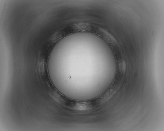 X0000111530757200907211244