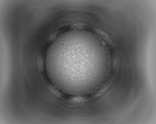 X0000111530759200907211244