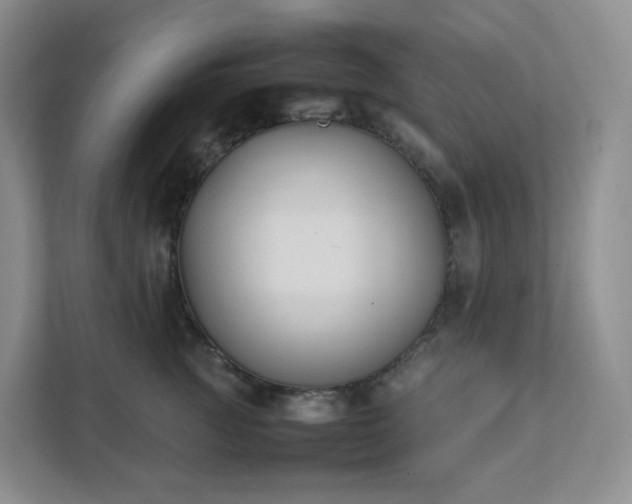 X0000111530761200907211244