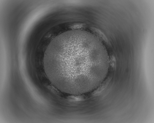 X0000111530763200907211244