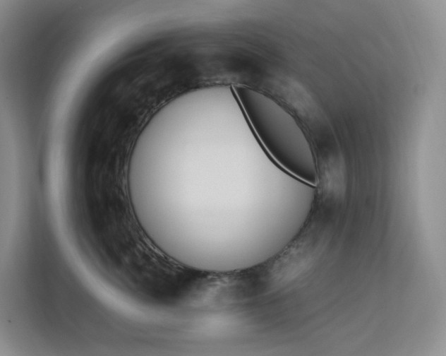 X0000111530764200907211244