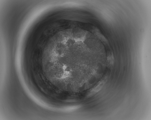 X0000111530765200907211244