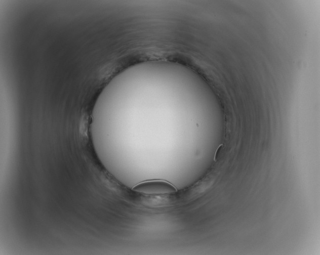 X0000111530768200907211244