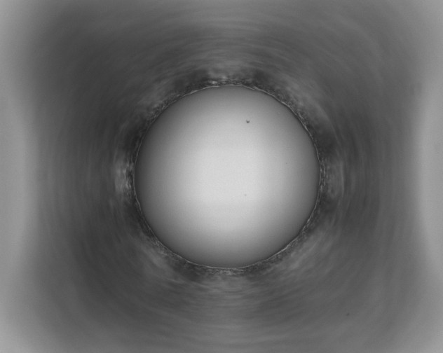 X0000111530770200907211244