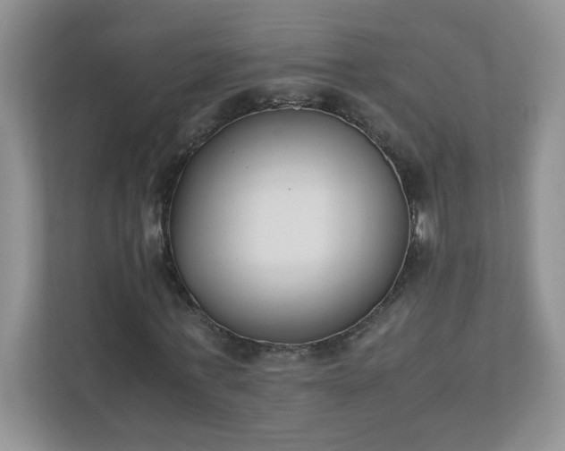 X0000111530771200907211244