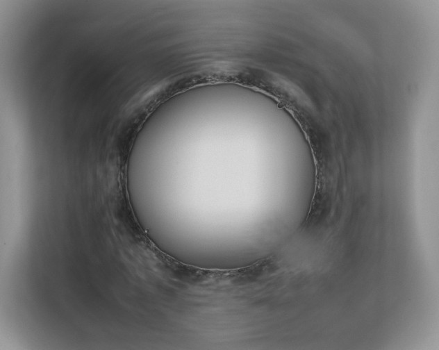 X0000111530773200907211244