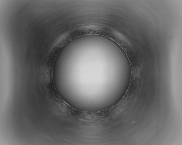 X0000111530774200907211244