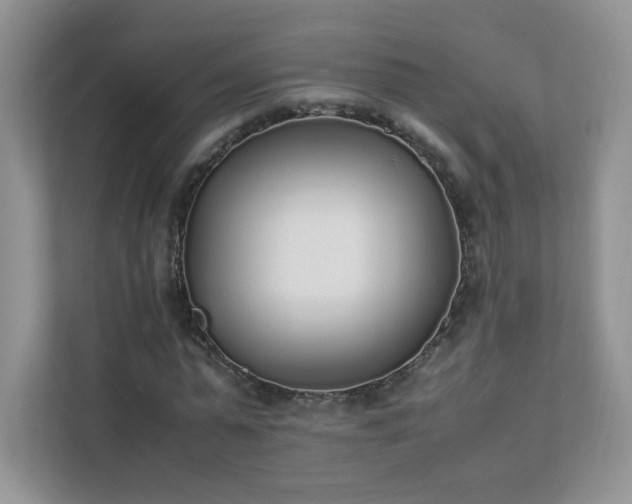 X0000111530775200907211244