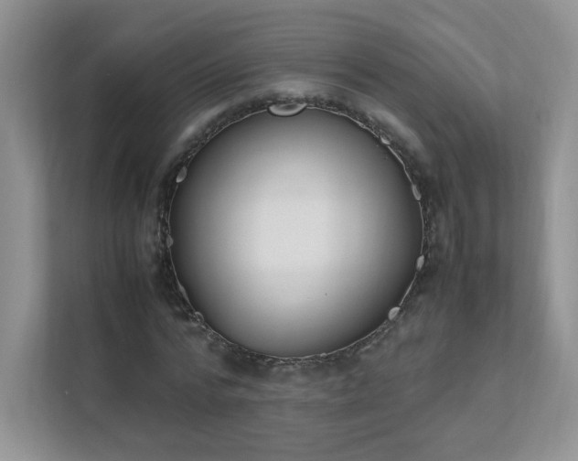 X0000111530776200907211244