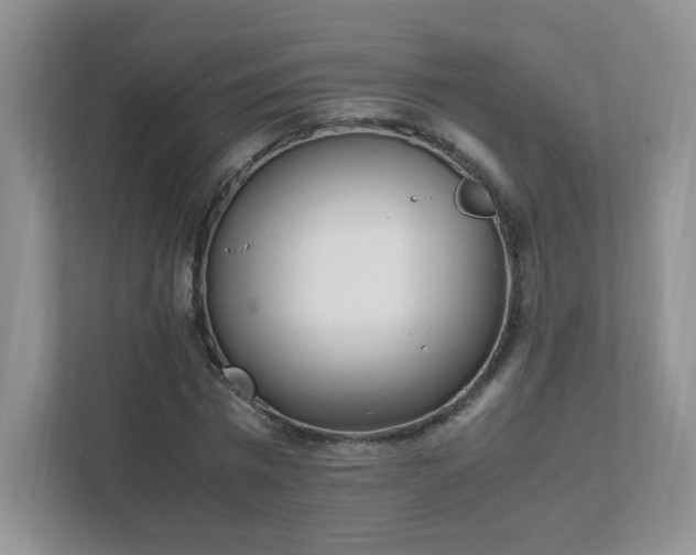 X0000111530777200907211244