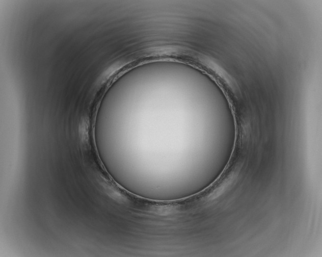 X0000111530778200907211244