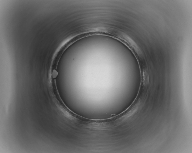 X0000111530780200907211244