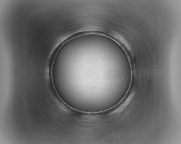 X0000111530781200907211244