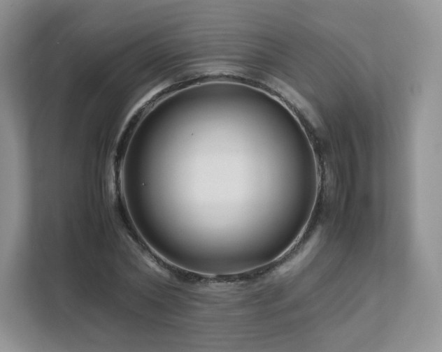 X0000111530782200907211244