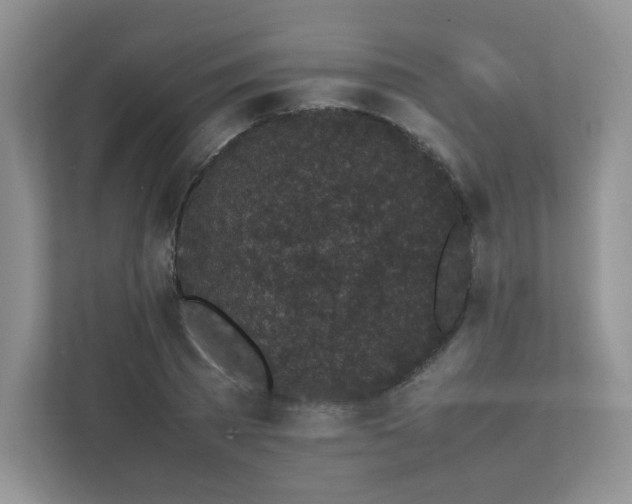 X0000111530785200907211244