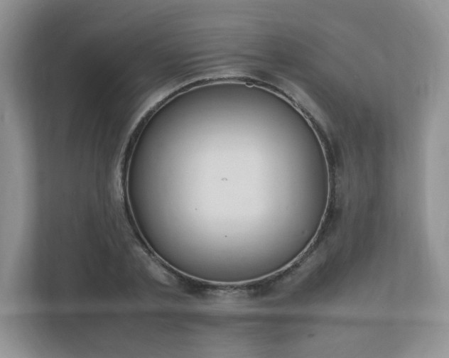 X0000111530789200907211243