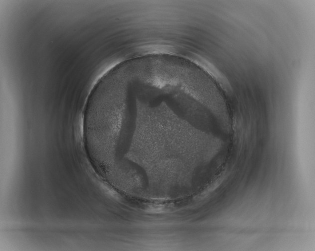 X0000111530790200907211243