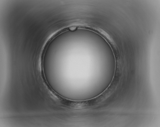 X0000111530791200907211243