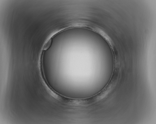 X0000111530803200907211243