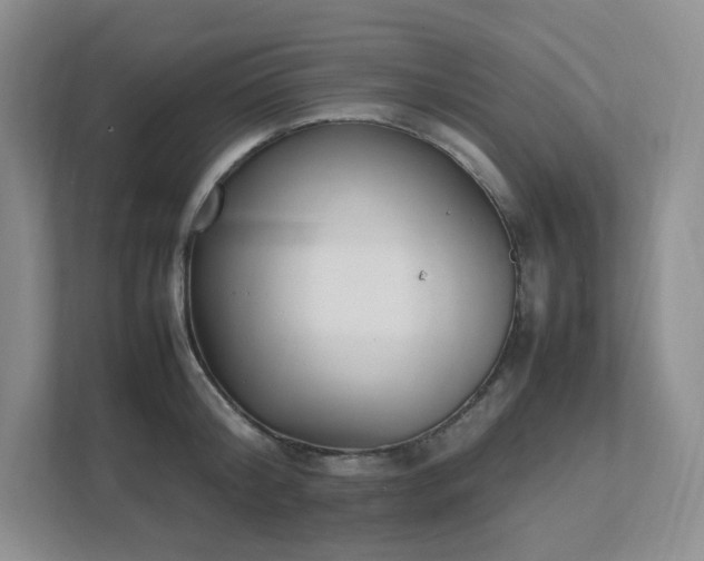 X0000111530804200907211243