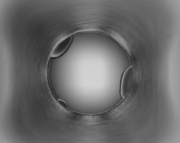 X0000111530805200907211243