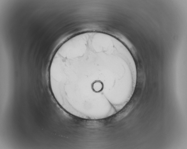 X0000111530807200907211243