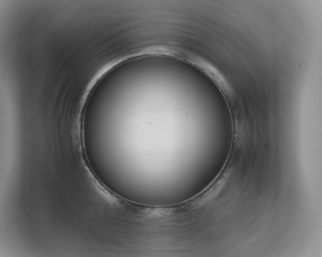 X0000111530808200907211243